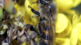 bi_DSC_0483